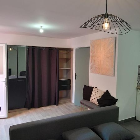 סן-בריו Appartement Proche Gare מראה חיצוני תמונה